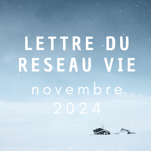 Lettre du Réseau Vie nov 2024