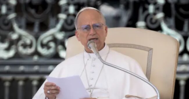 Pape Léon XIV à l'audience